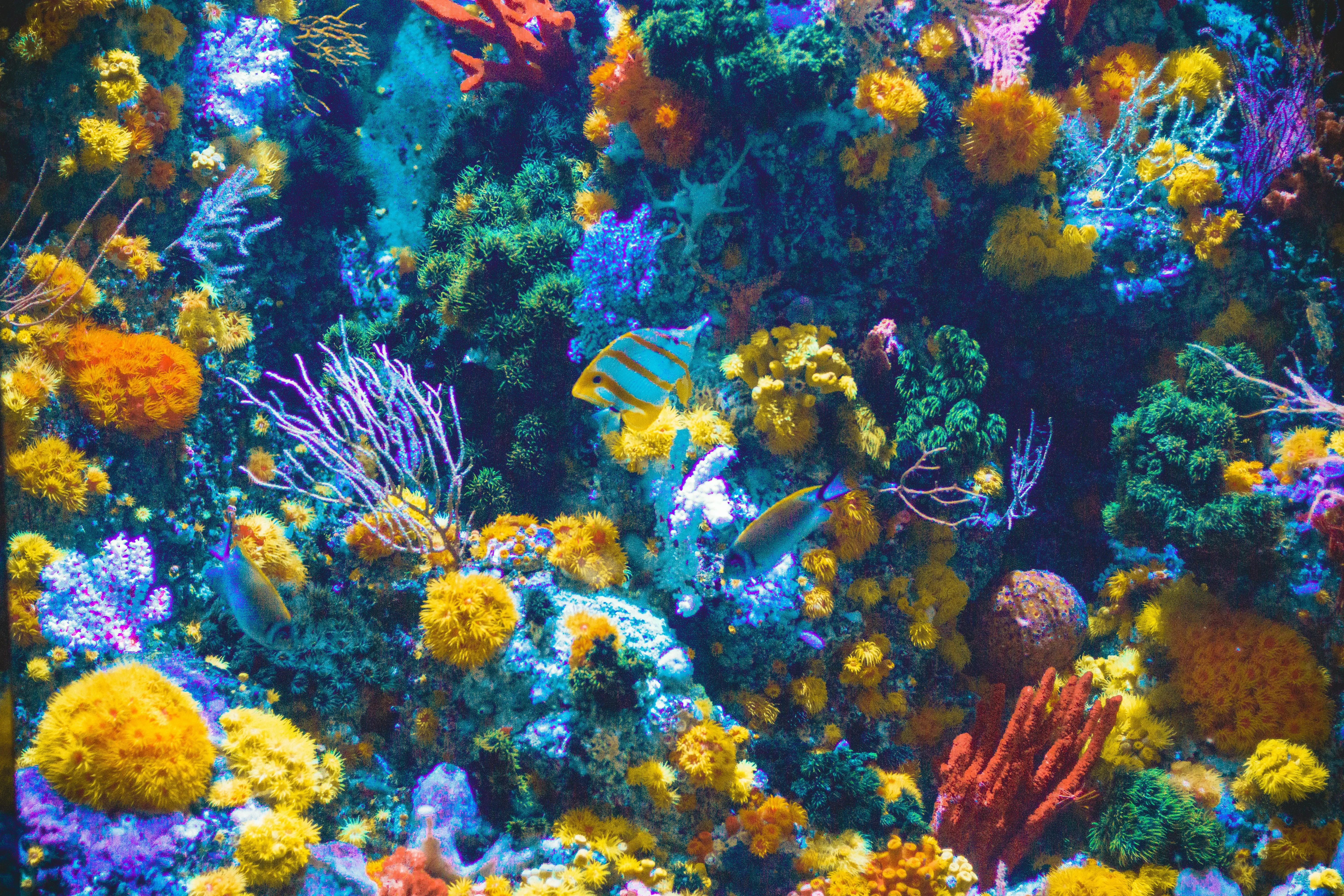 Mystic Aquarium